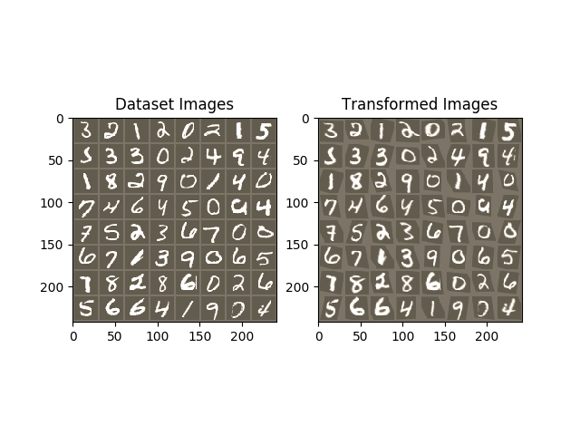 ../_images/sphx_glr_spatial_transformer_tutorial_001.png