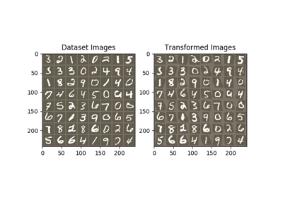 _images/sphx_glr_spatial_transformer_tutorial_thumb.png